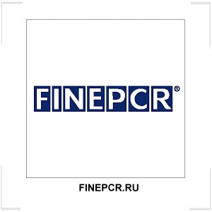 FINEPCR.RU