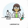 LABORANT.SU